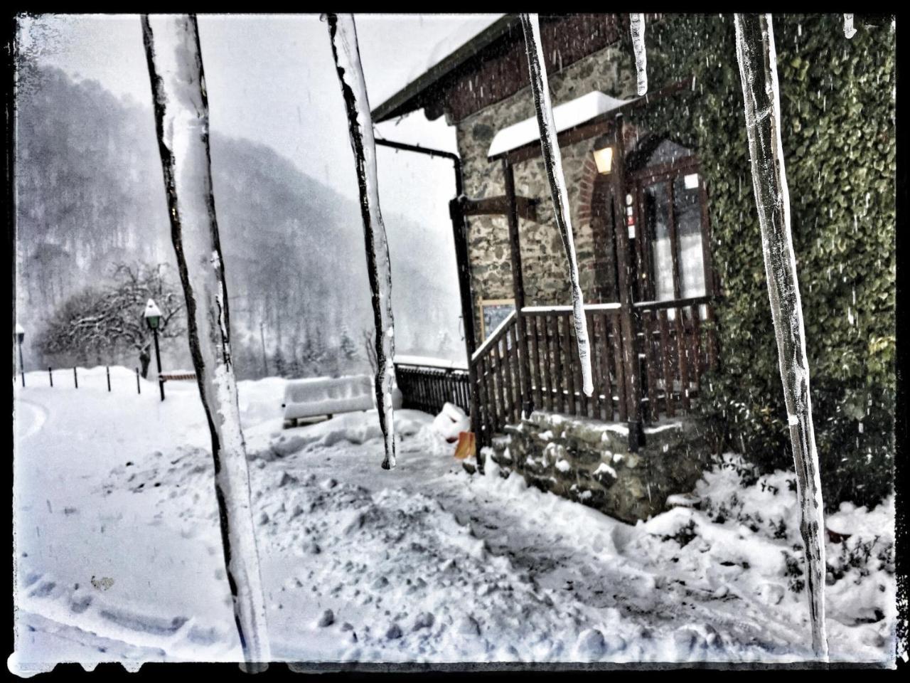 B&B Vinicola23 Limone Piemonte Exteriör bild