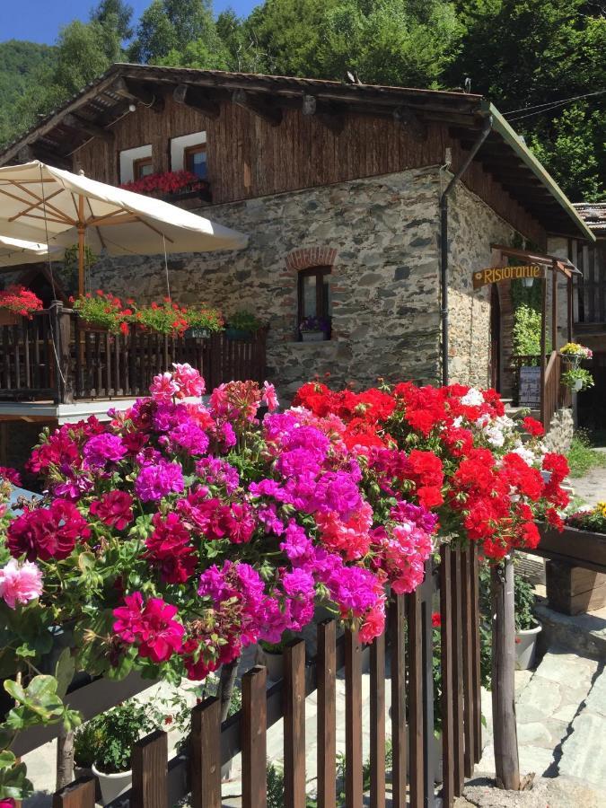 B&B Vinicola23 Limone Piemonte Rum bild